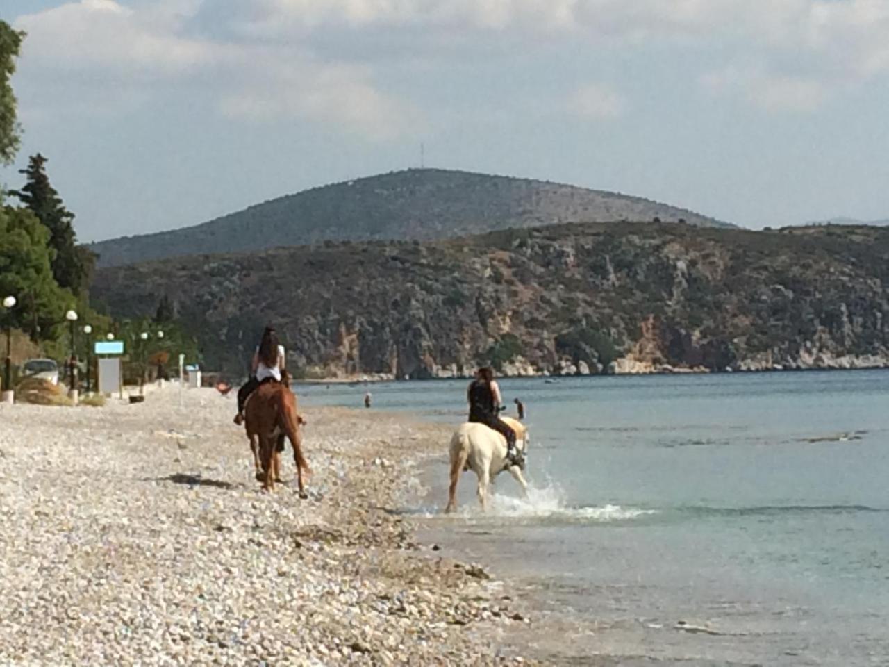Perivoli Country Hotel & Retreat Anabolu Dış mekan fotoğraf